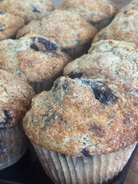 Blueberry Muffin