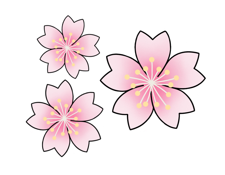 Sakura Flower Set